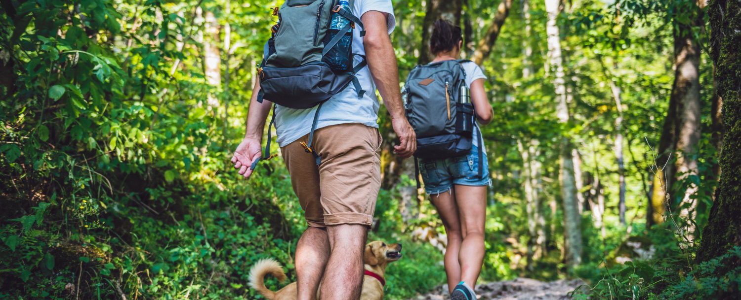 Couple with a small yellow dog hiking in forest