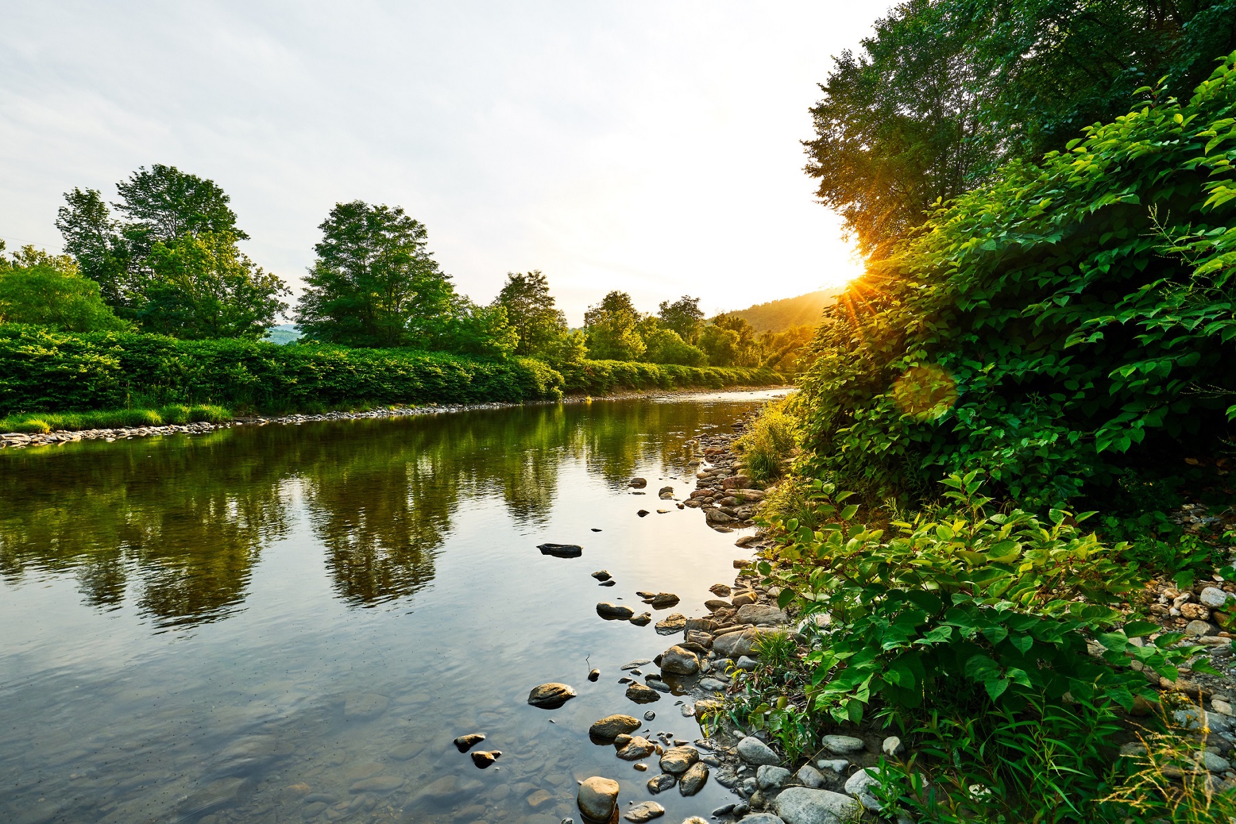 What You Need to Have a Premier Summer in Camden, ME - Camden Maine Stay